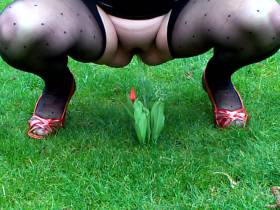 Tulpe mit NS begossen